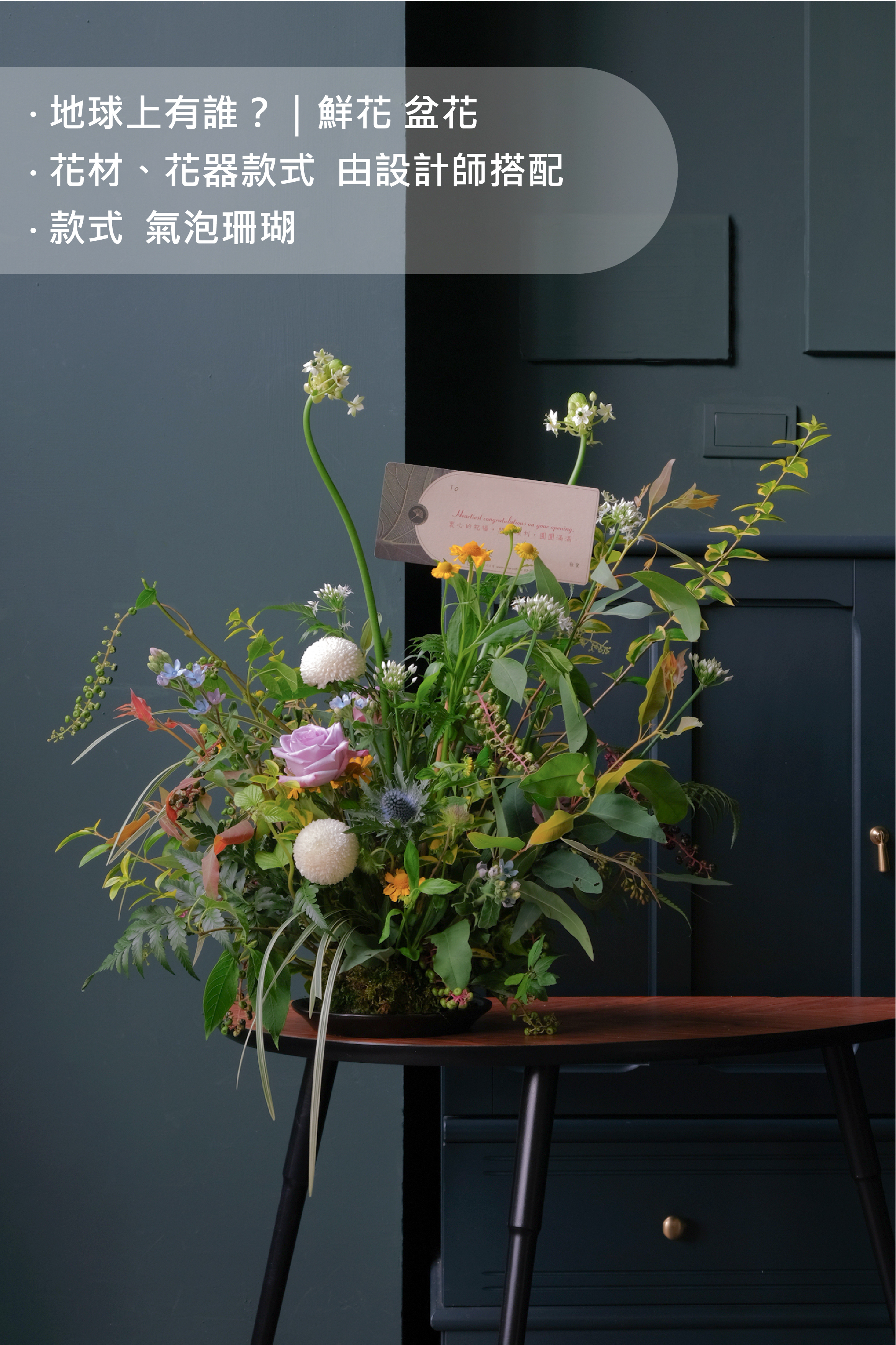 地球上有誰？｜鮮花 盆花
