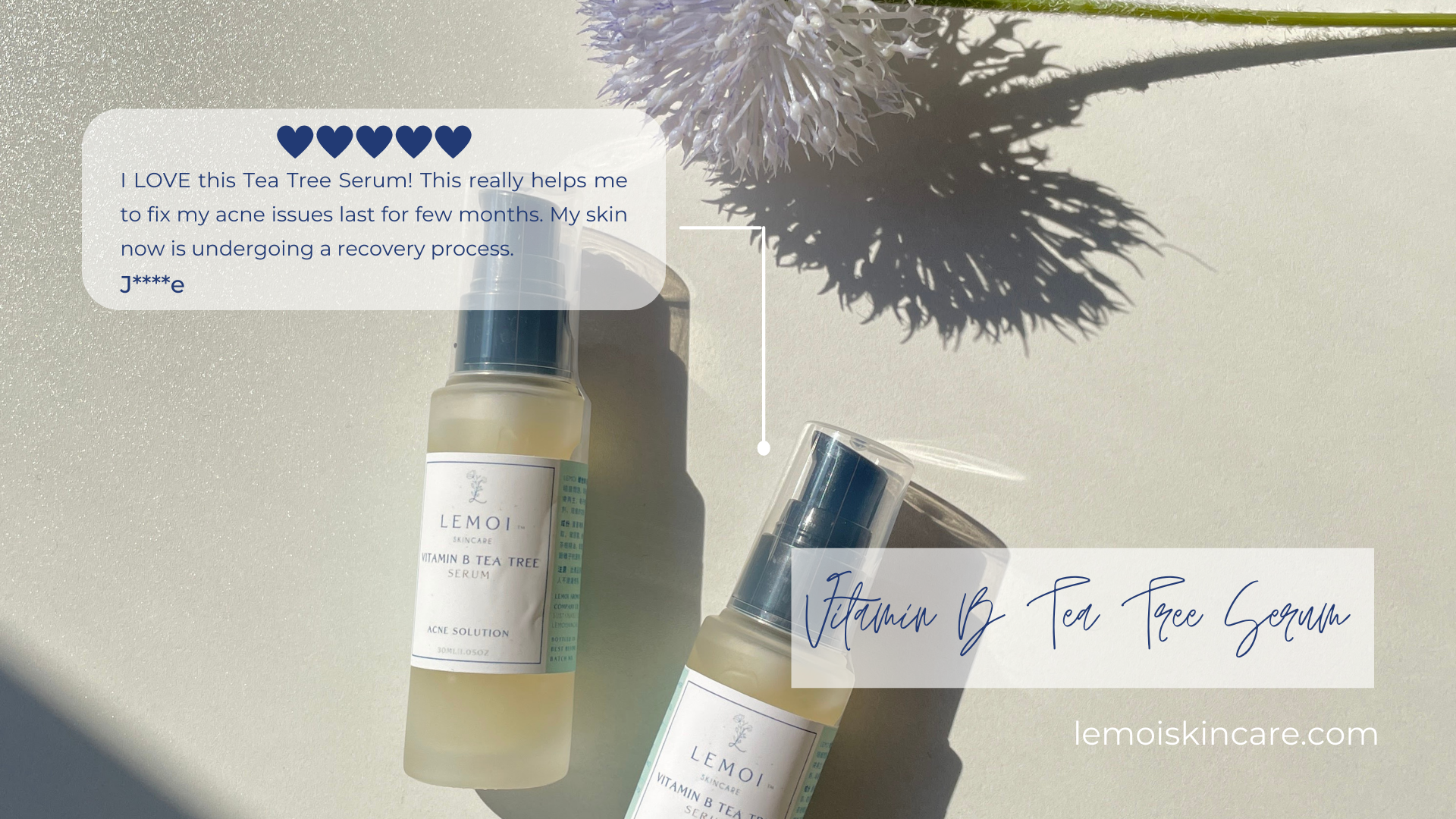 客人好評，口碑推薦