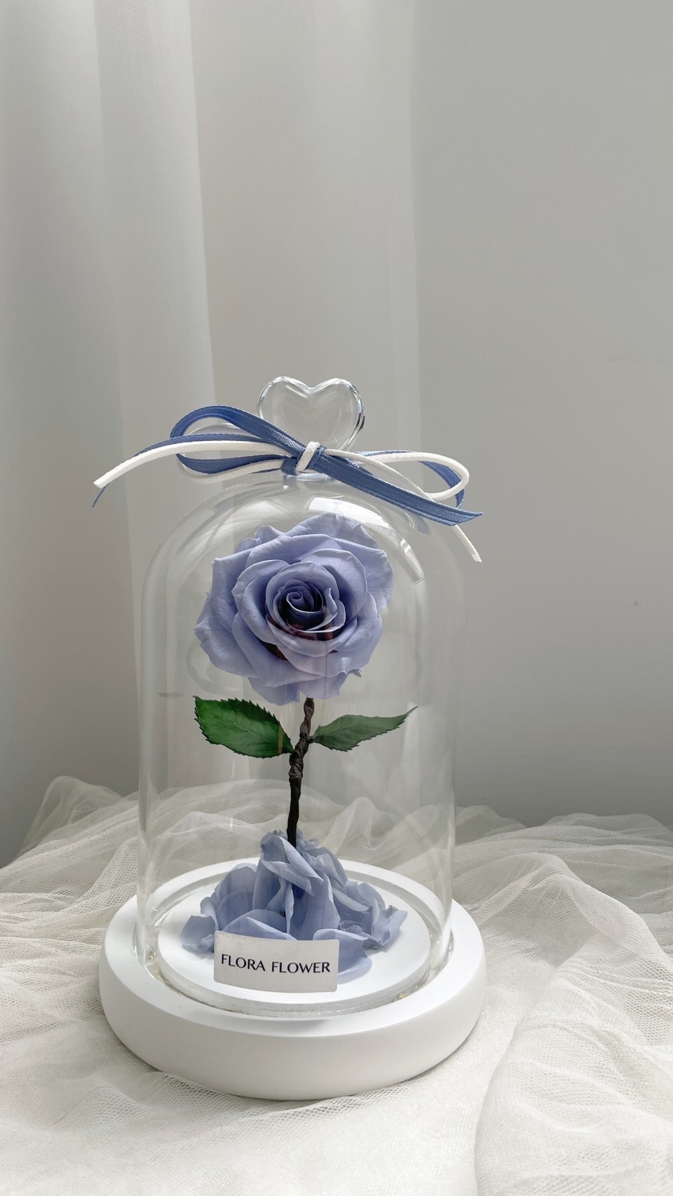 小王子永生玫瑰花 - 星空