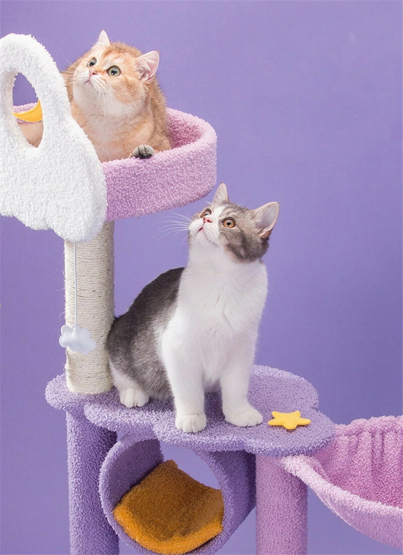 夢幻星雲貓爬架