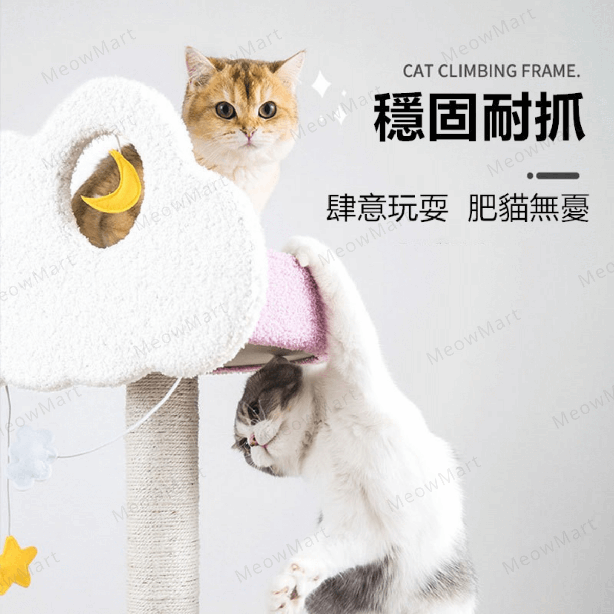 夢幻星雲貓爬架