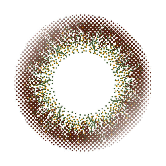 Envie 1Day Color Contact Lenses 日本Envie 每日即棄有色隱形眼鏡 10片(Olive Brown)