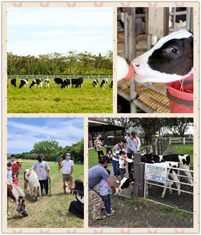 餵ㄋㄟㄋㄟ體驗