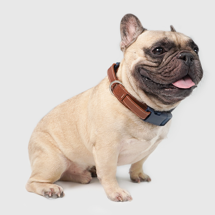 Explore︱項圈 - 藍