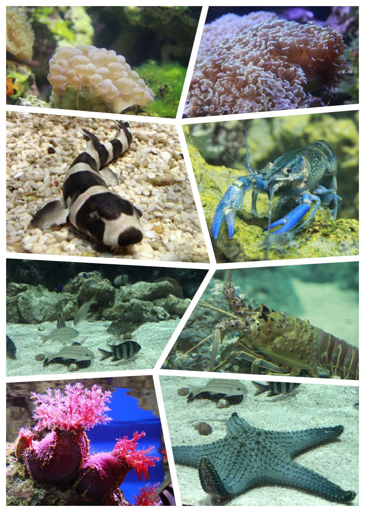 海洋公園營業時間