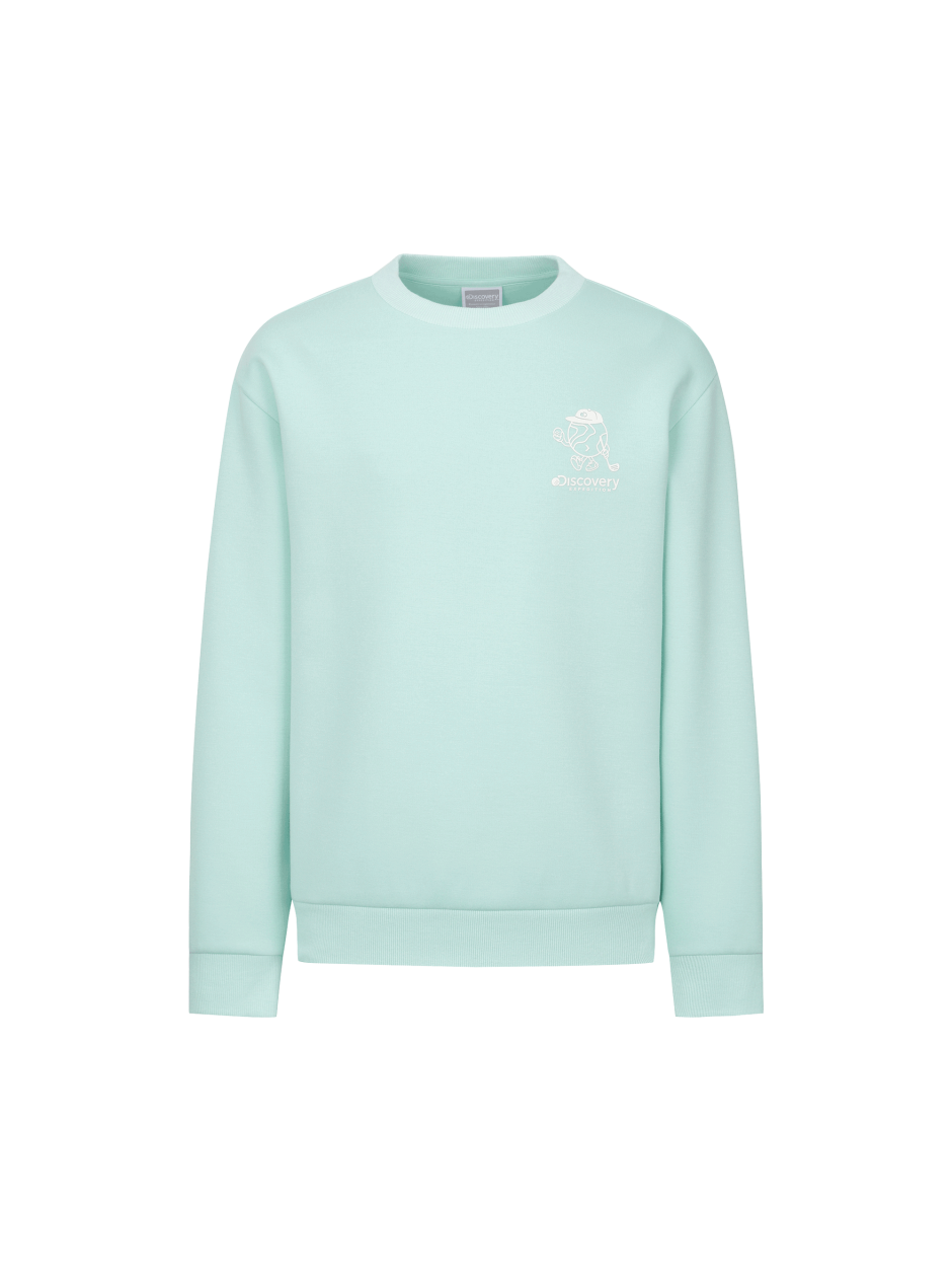 Discovery 高爾夫球 卡通圖騰 長袖 大學T 運動衫 綠色 男