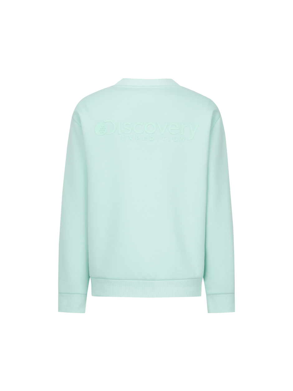 Discovery 高爾夫球 卡通圖騰 長袖 大學T 運動衫 綠色 男