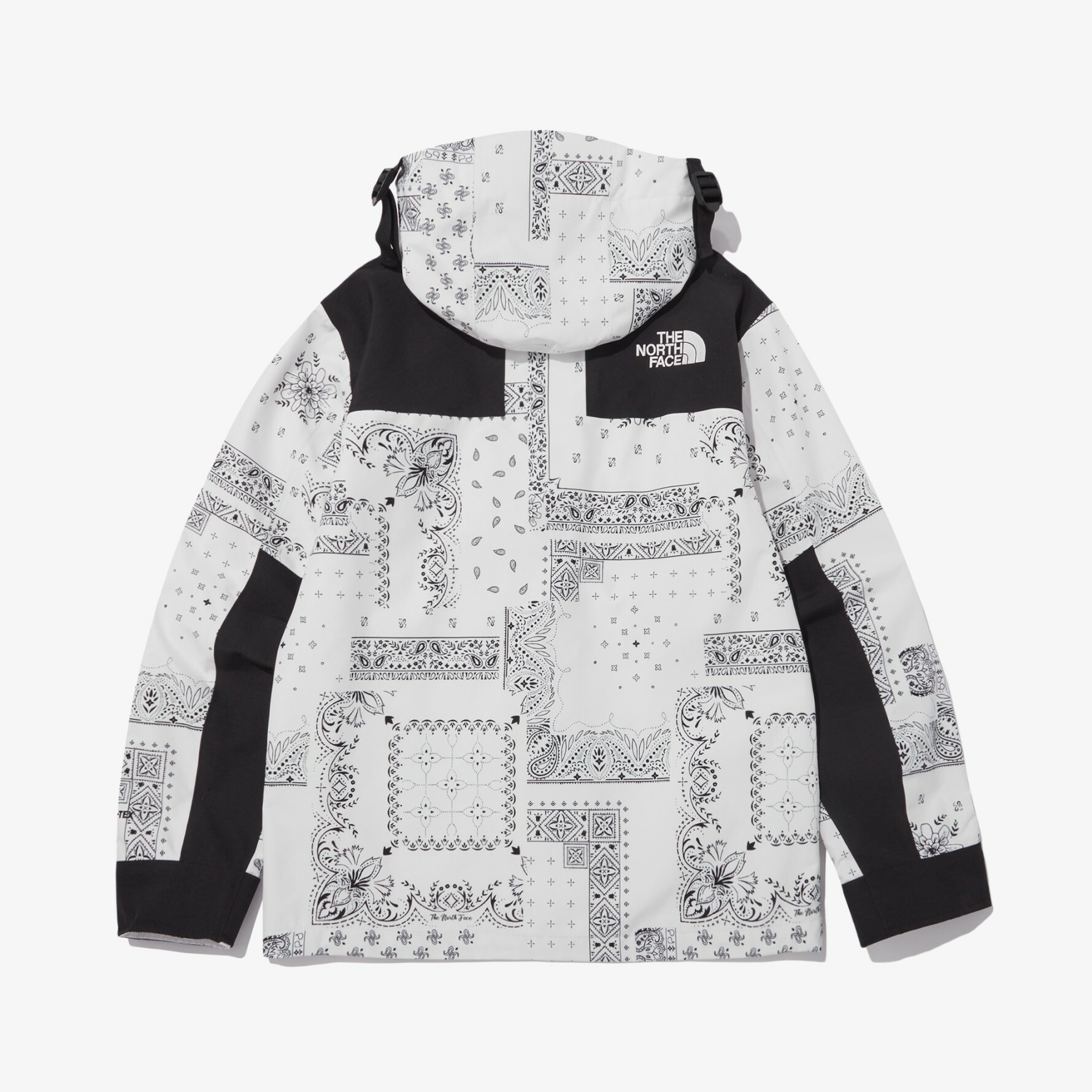 【IN-STOCK】THE NORTH FACE NOVELTY ECO GTX 變形蟲 腰果花 連帽外套 白 NJ2GN60C