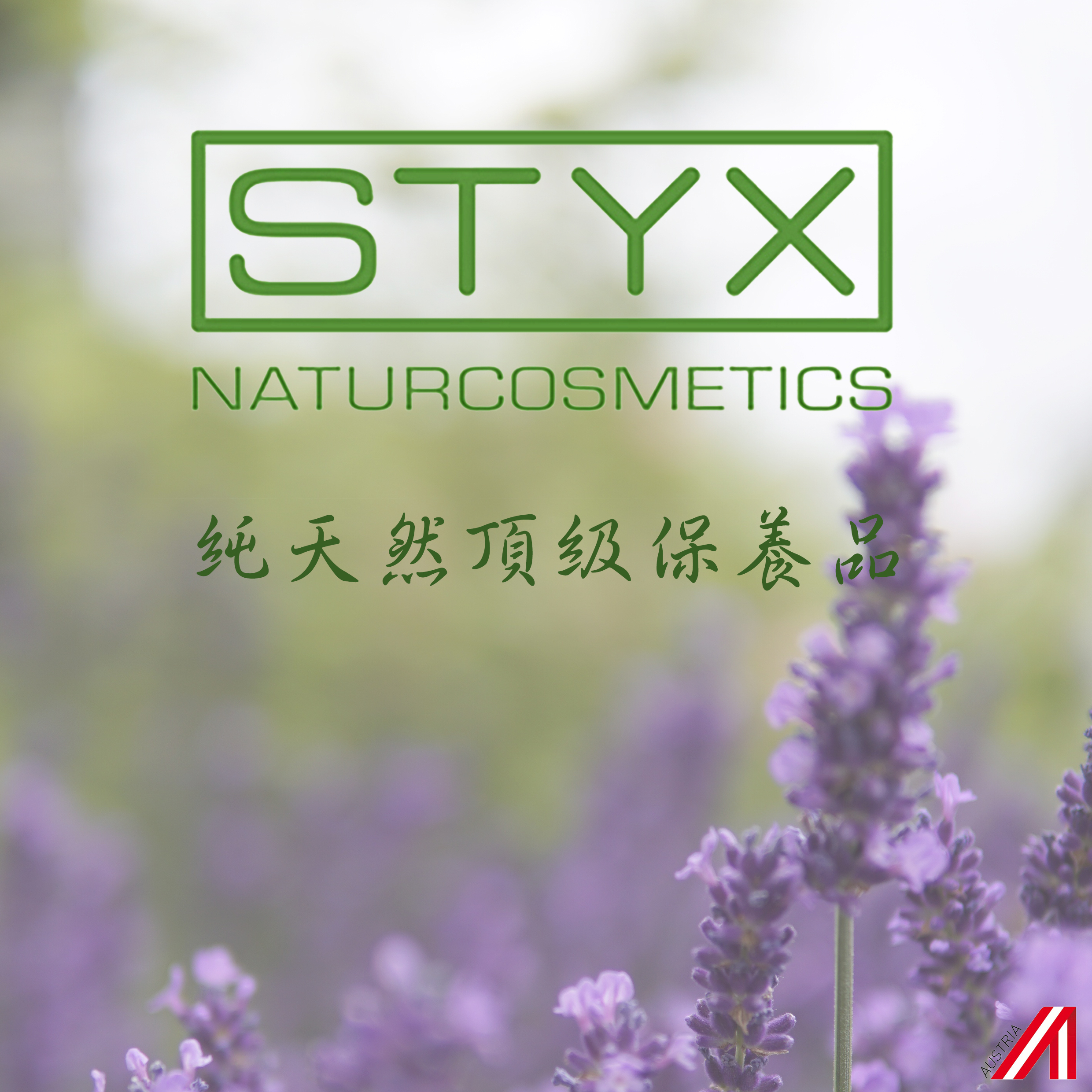 線上 購物,styx,天然,純淨,自然,綠,環保,保養,草本,無添加,奧地利,環保,有機,天然,自然,保養,綠色消費,植萃,原裝進口,免 運,全 站 免 運,阿爾卑斯山,雪絨花,玫瑰,草藥,按摩膏,面霜,精華液,眼霜,化妝水