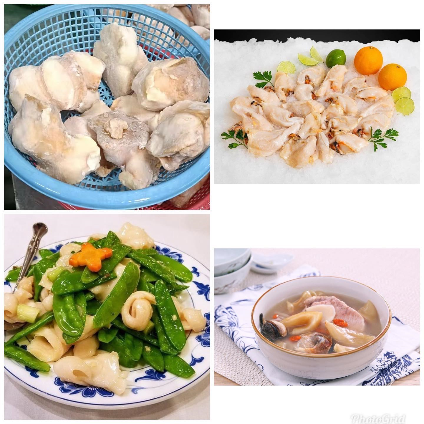 泰國野生安達曼海螺 1kg