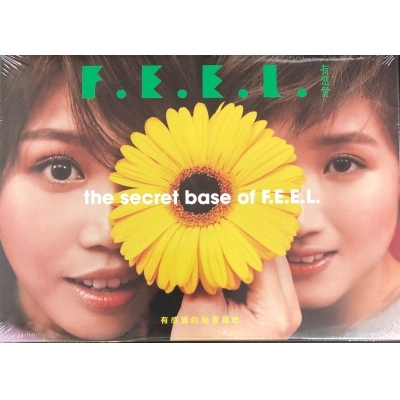 有感覺-有感覺的秘密基地 CD