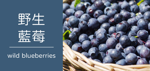 野生藍莓 ∣ 天時莓果