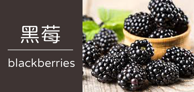 黑莓 ∣ 天時莓果
