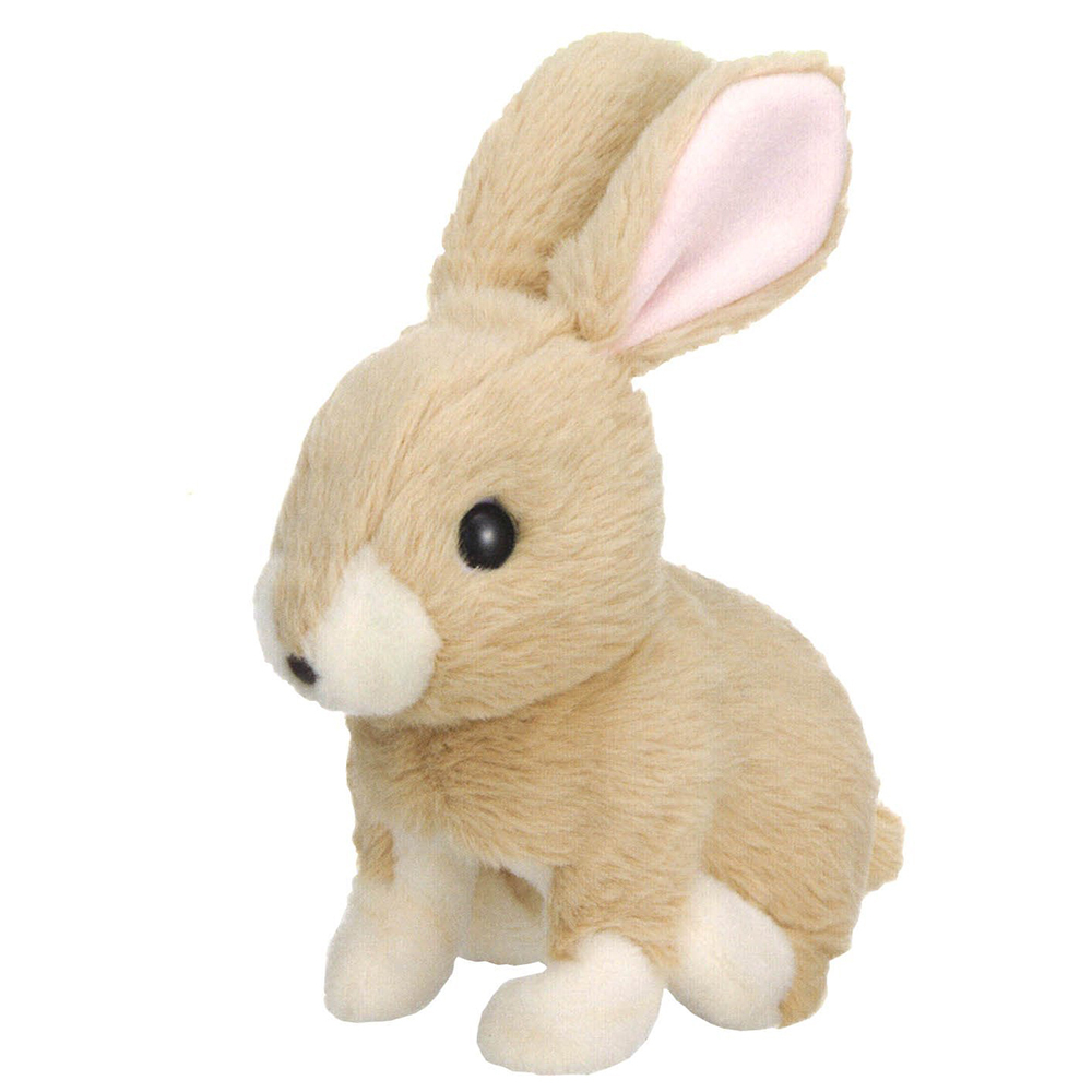 《日本IWAYA》長耳兔,大甜甜