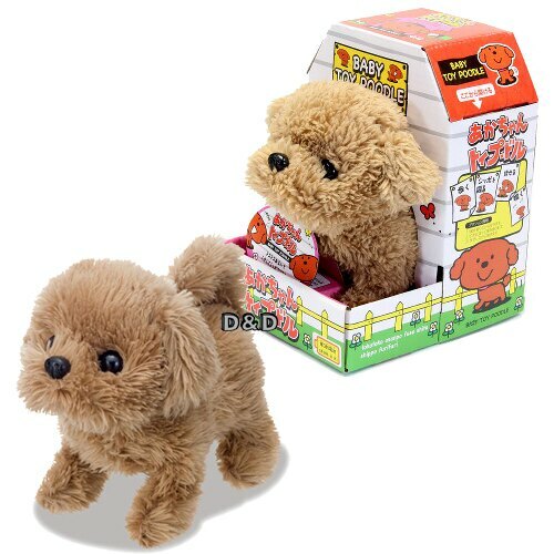 《日本 IWAYA 》 甜甜屋紅貴賓