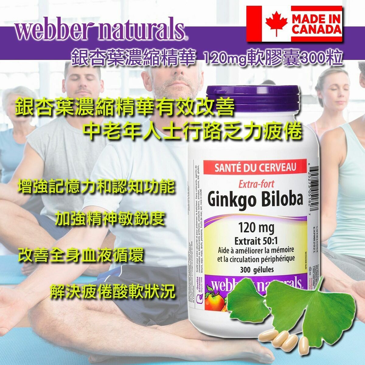 加拿大Webber naturals銀杏葉濃縮精華120mg軟膠囊300粒