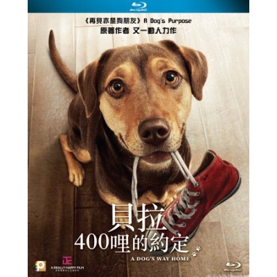 貝拉400哩的約定 (BD)