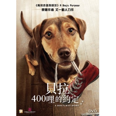 貝拉400哩的約定 (DVD)