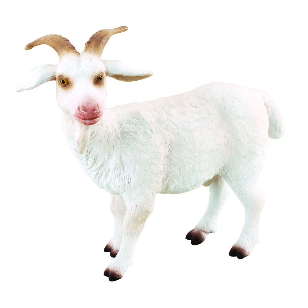 《 COLLECTA 》公山羊