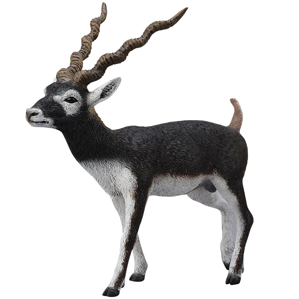 《 COLLECTA 》印度黑羚