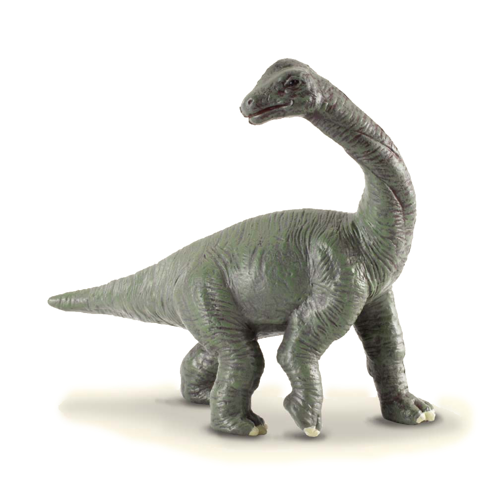 《 COLLECTA 》腕龍寶寶