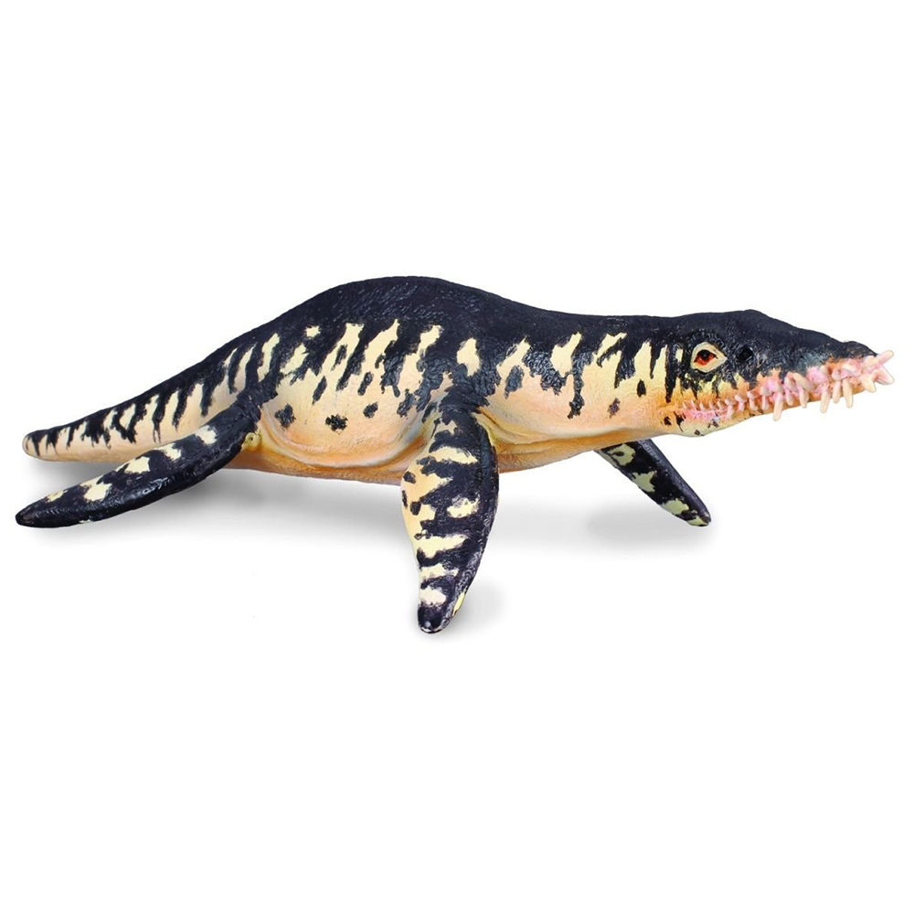 《 COLLECTA 》滑齒龍