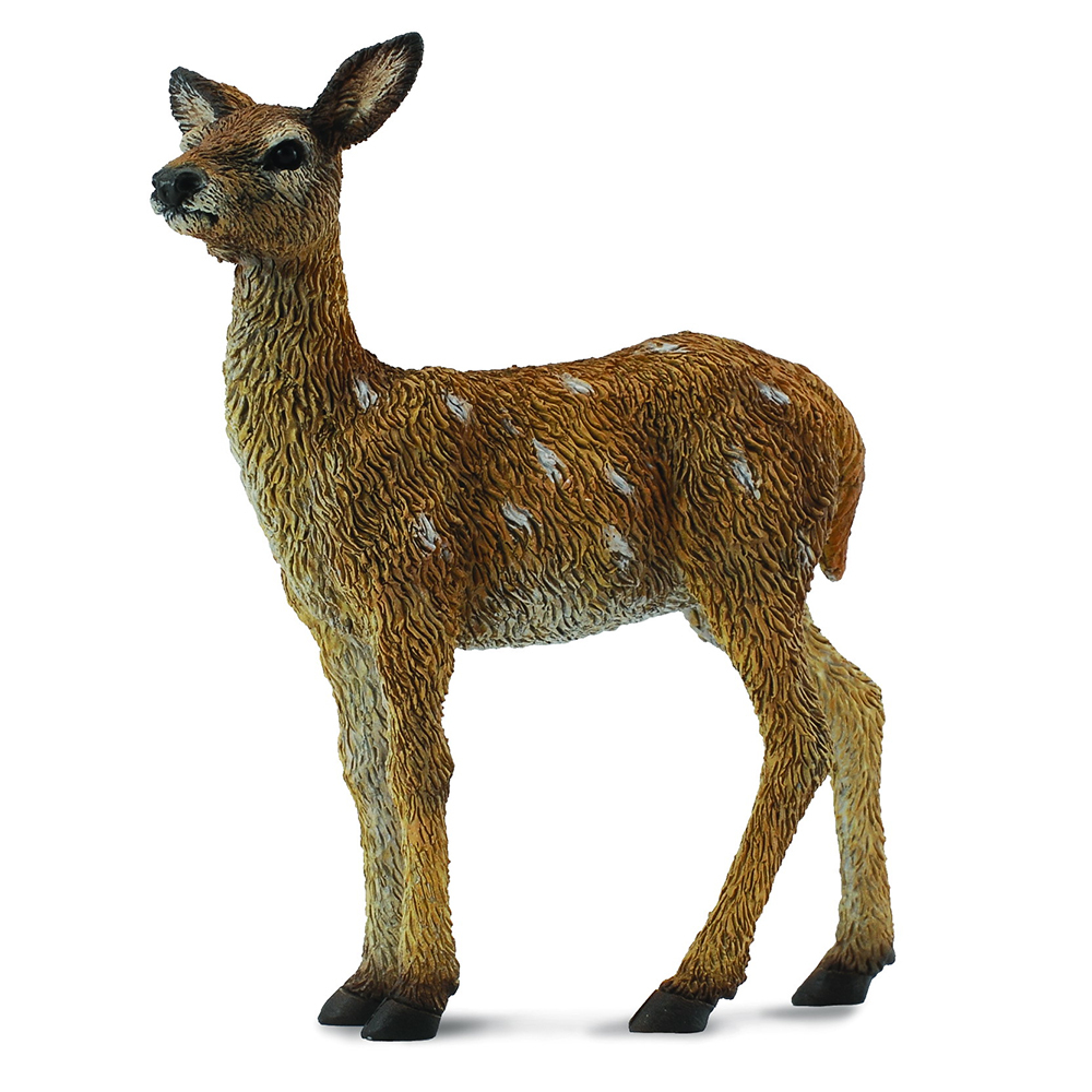 《 COLLECTA 》幼鹿