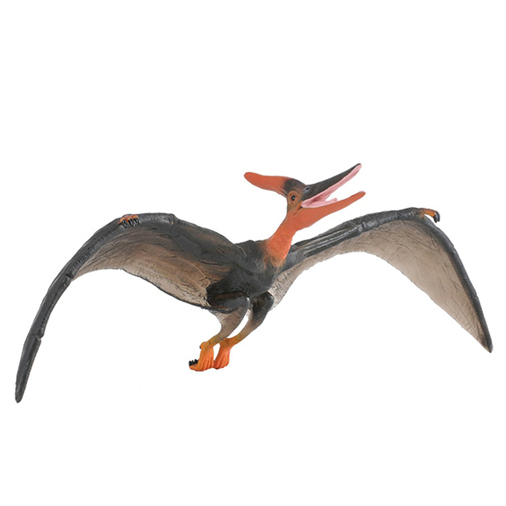 《 COLLECTA 》翼首龍