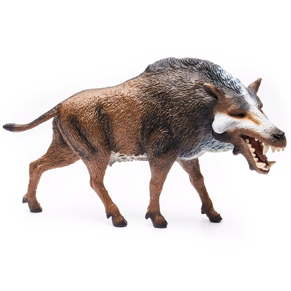 《 COLLECTA 》完齒獸