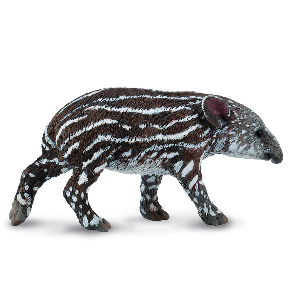 《 COLLECTA 》幼中美貘