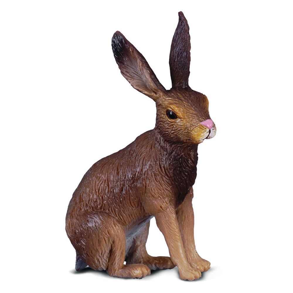 《 COLLECTA 》野兔