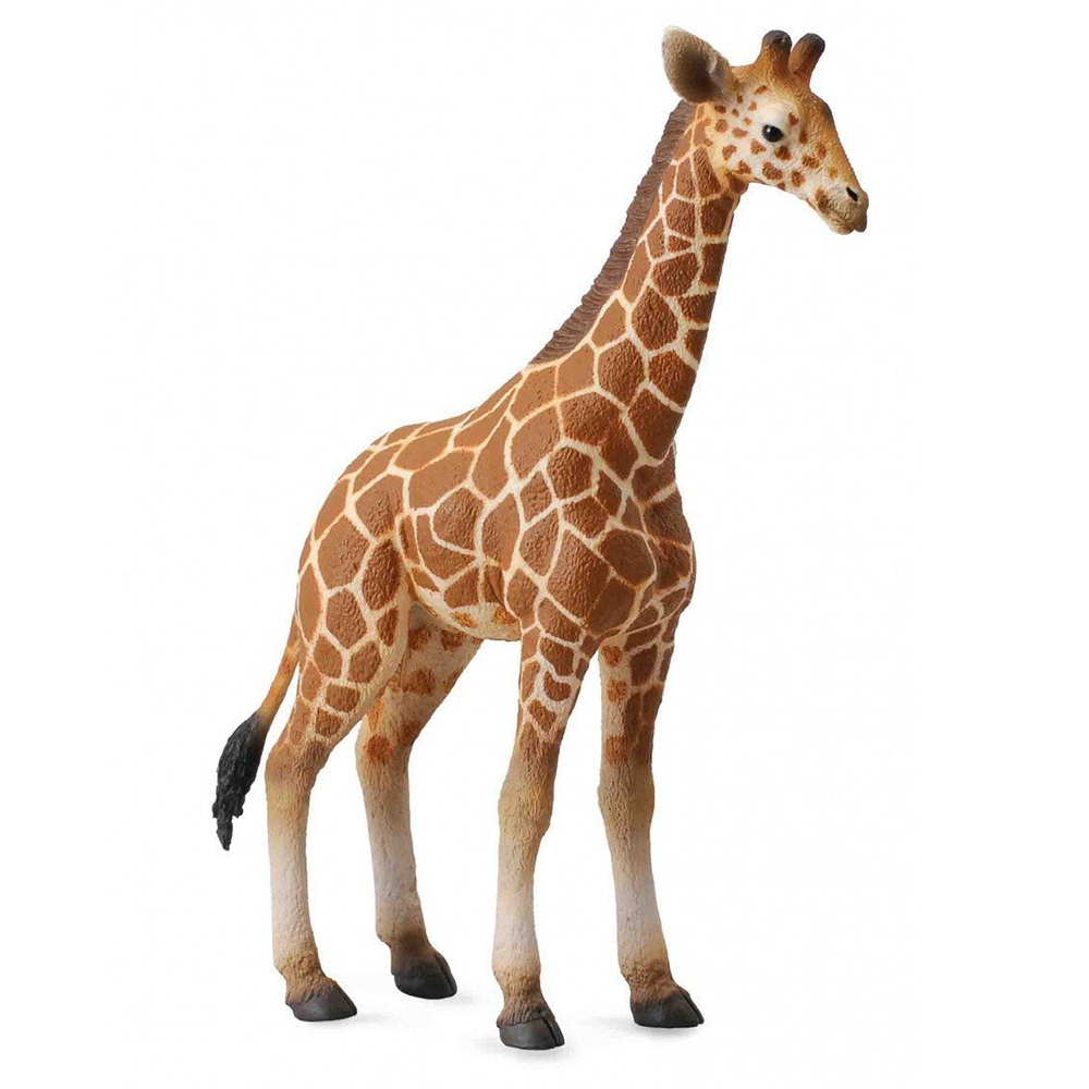 《 COLLECTA 》小網紋長頸鹿