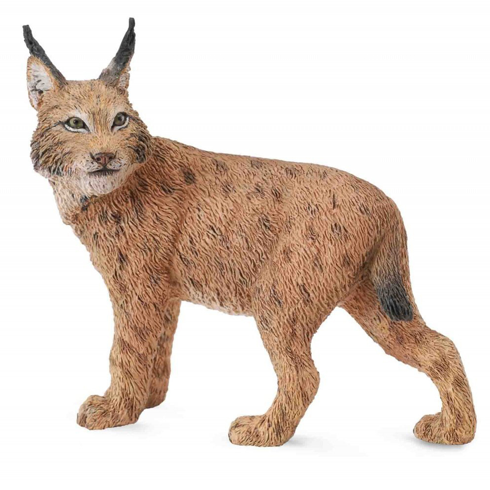 《 COLLECTA 》山貓