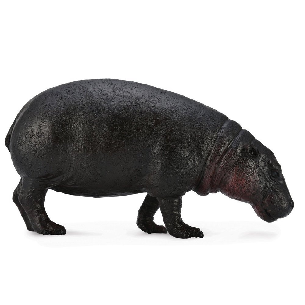 《 COLLECTA 》侏儒河馬