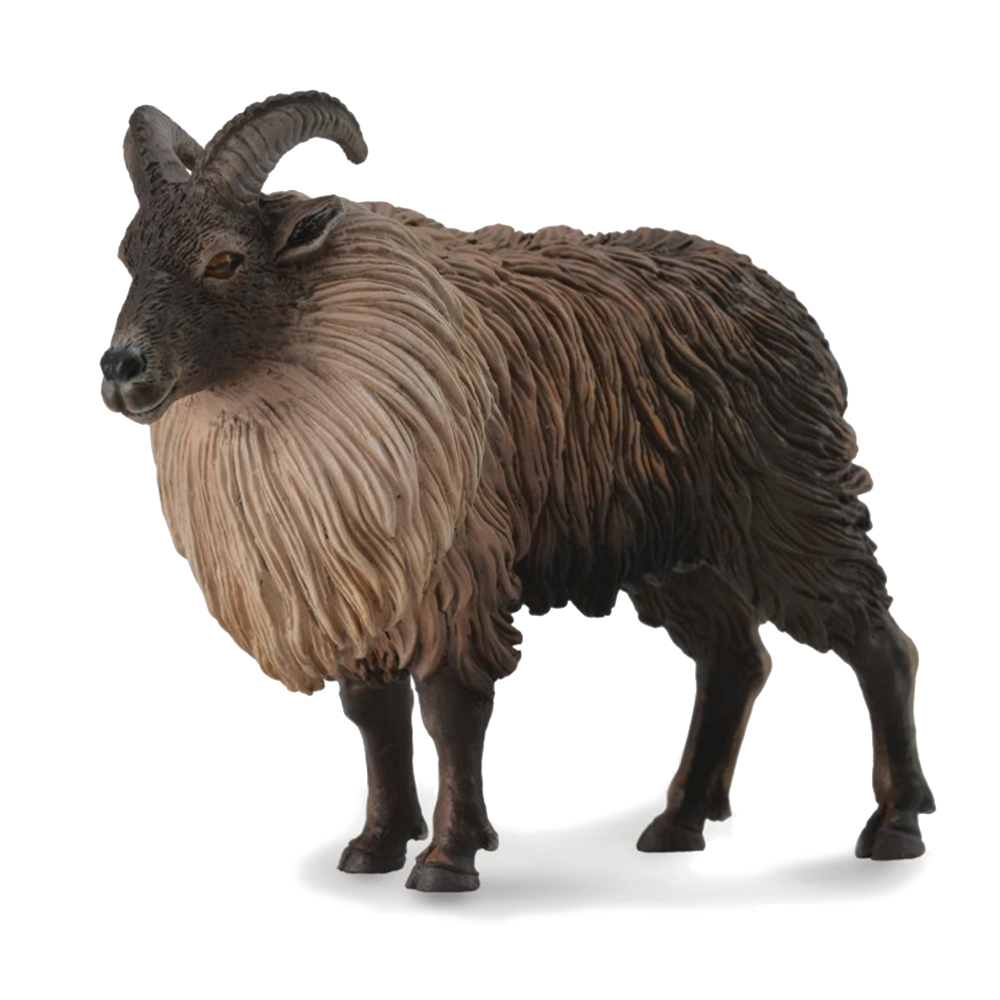 《 COLLECTA 》喜瑪拉雅塔爾羊