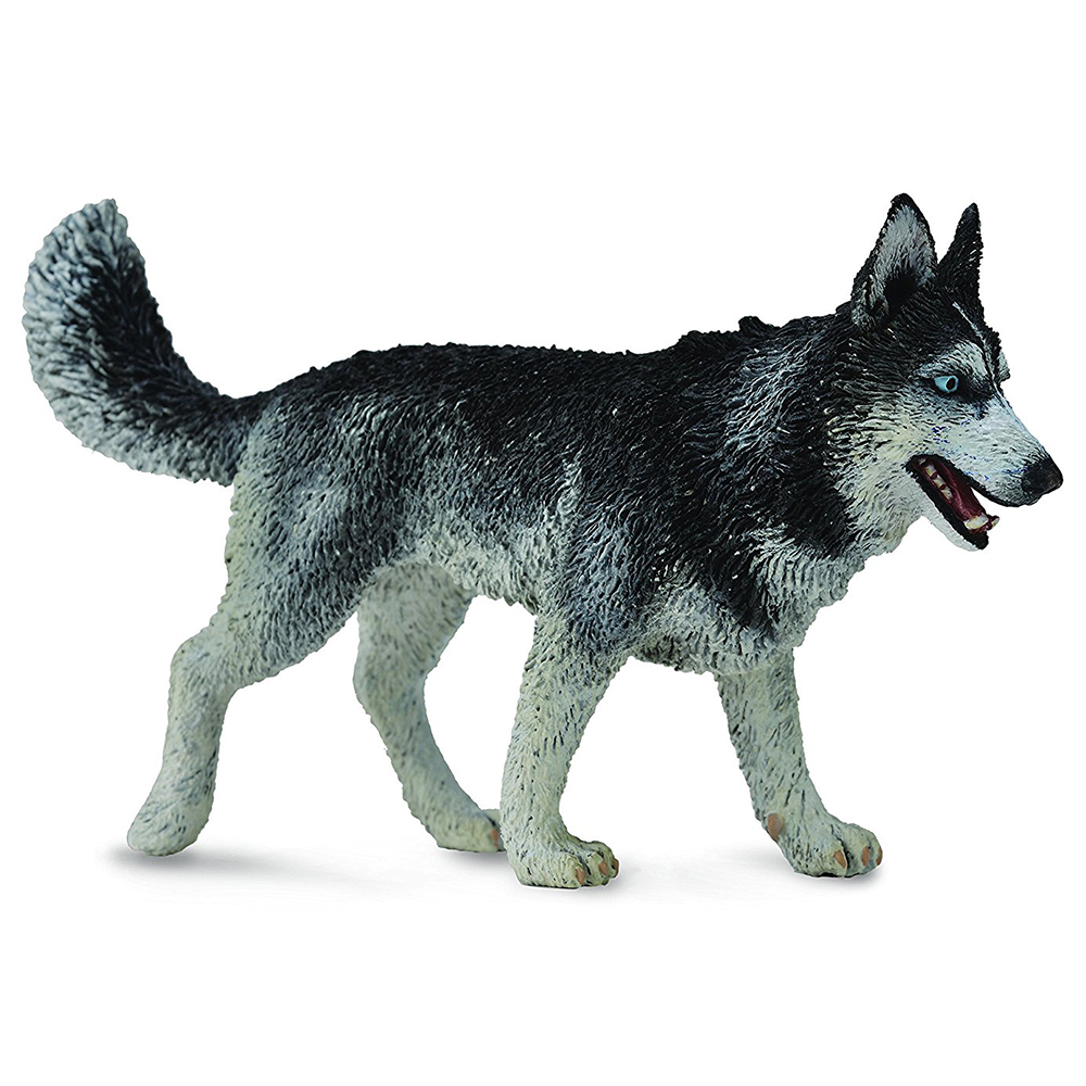《 COLLECTA 》西伯利亞雪橇犬
