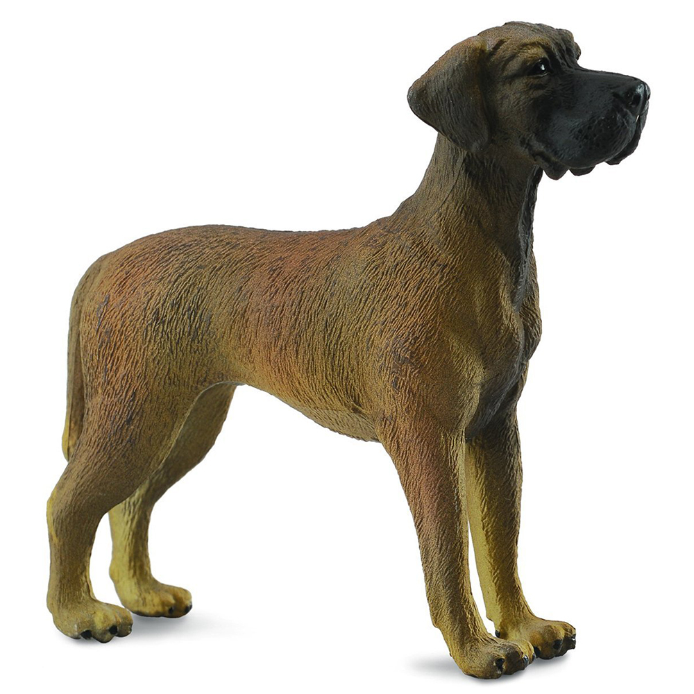 《 COLLECTA 》大丹狗