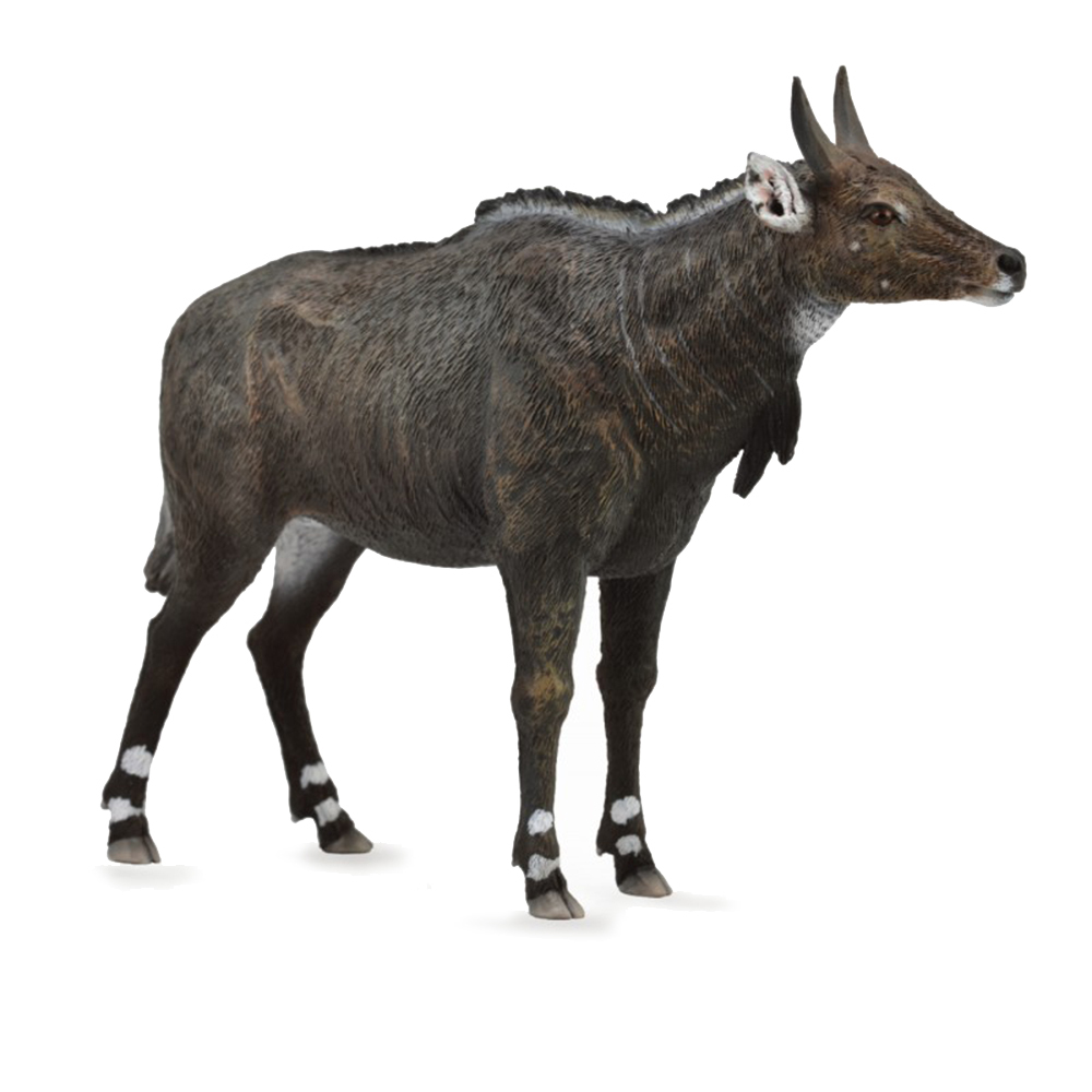 《 COLLECTA 》藍牛羚