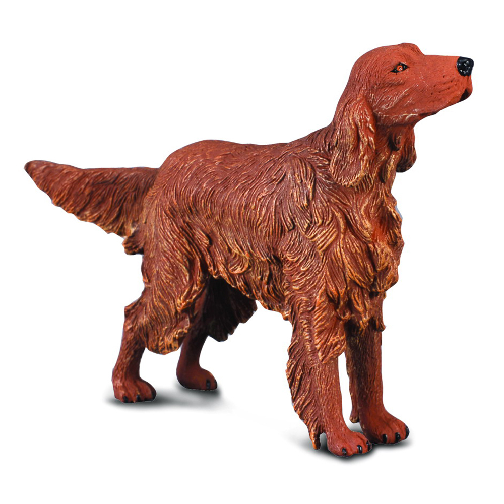 《 COLLECTA 》愛爾蘭雪達