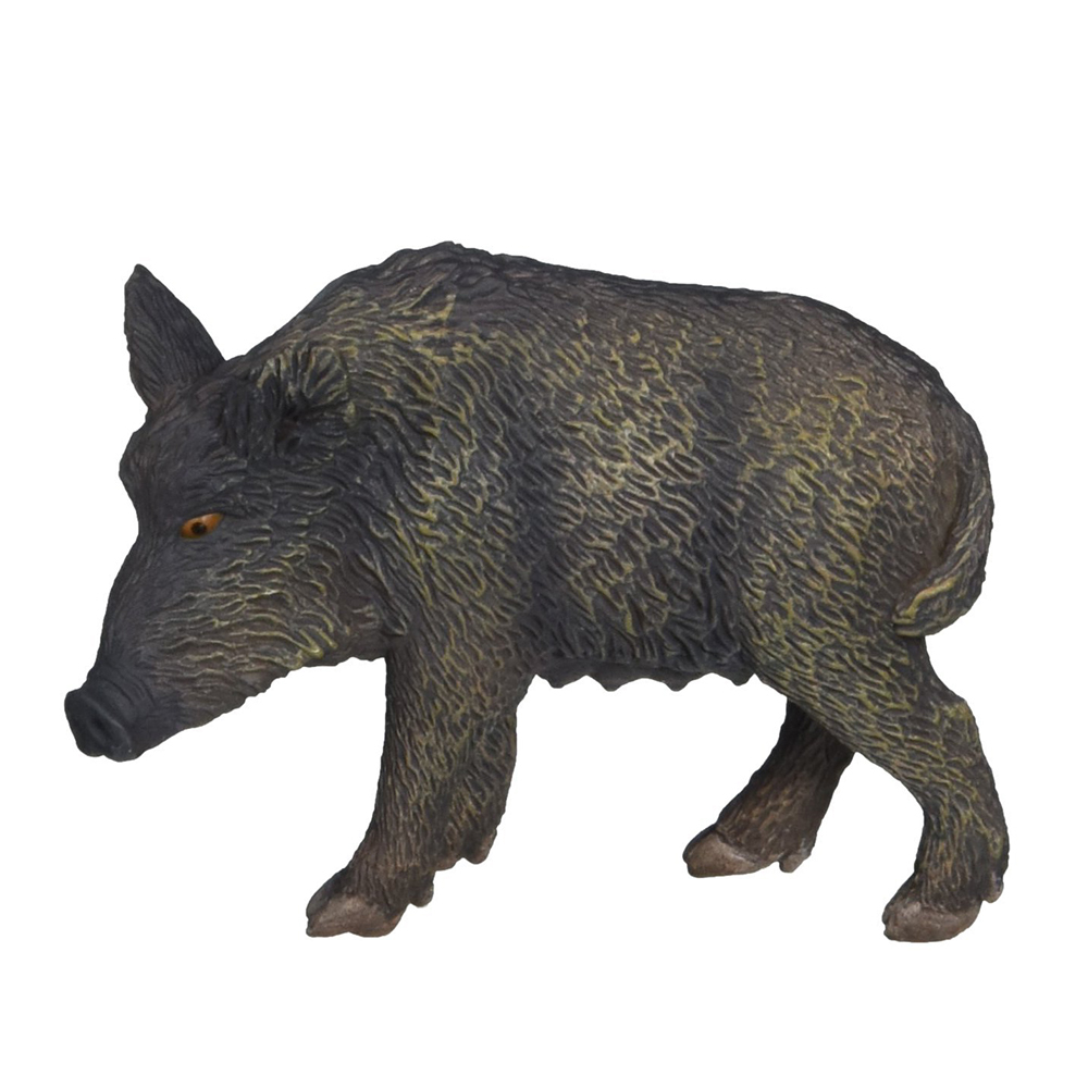 《 COLLECTA 》母野豬