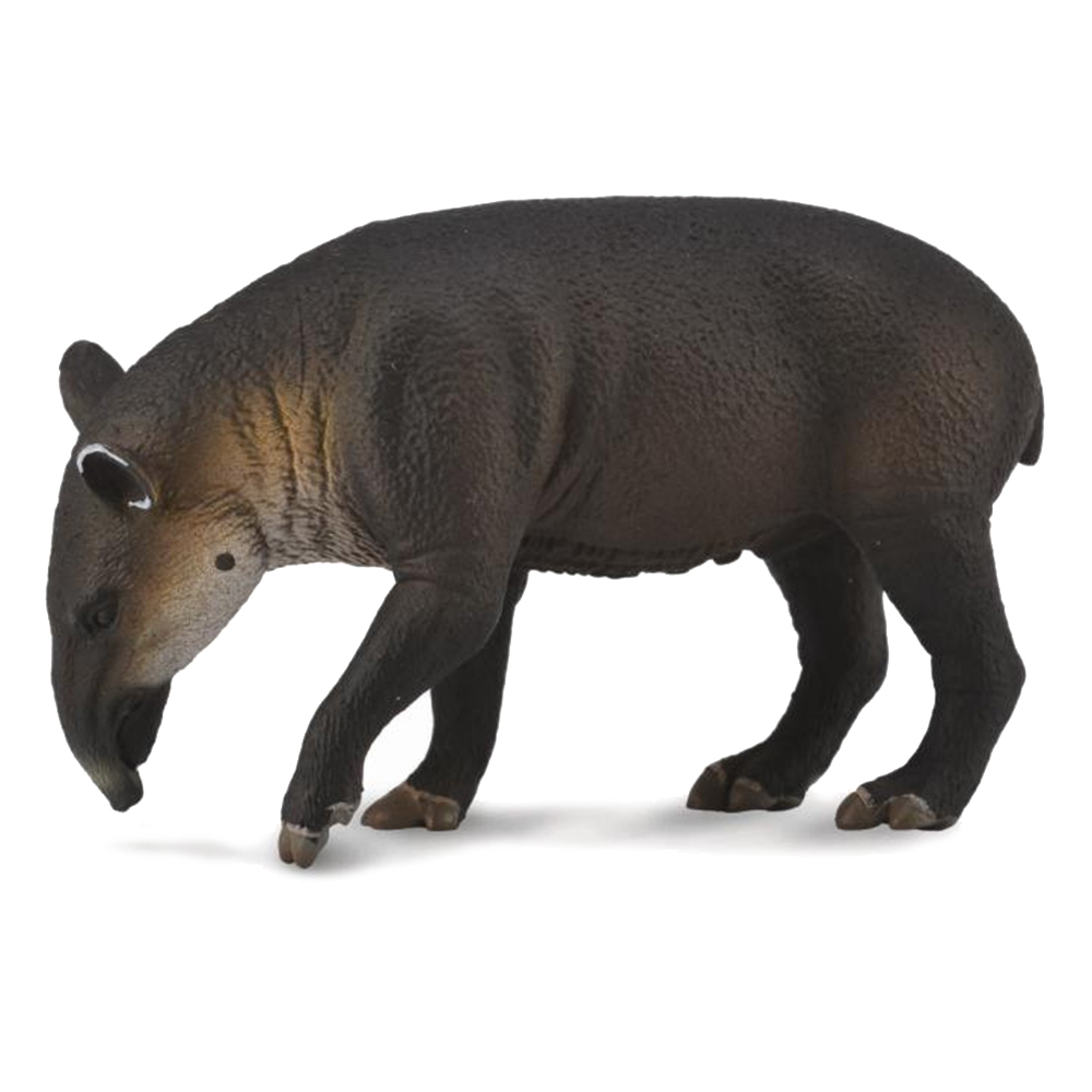 《 COLLECTA 》中美貘