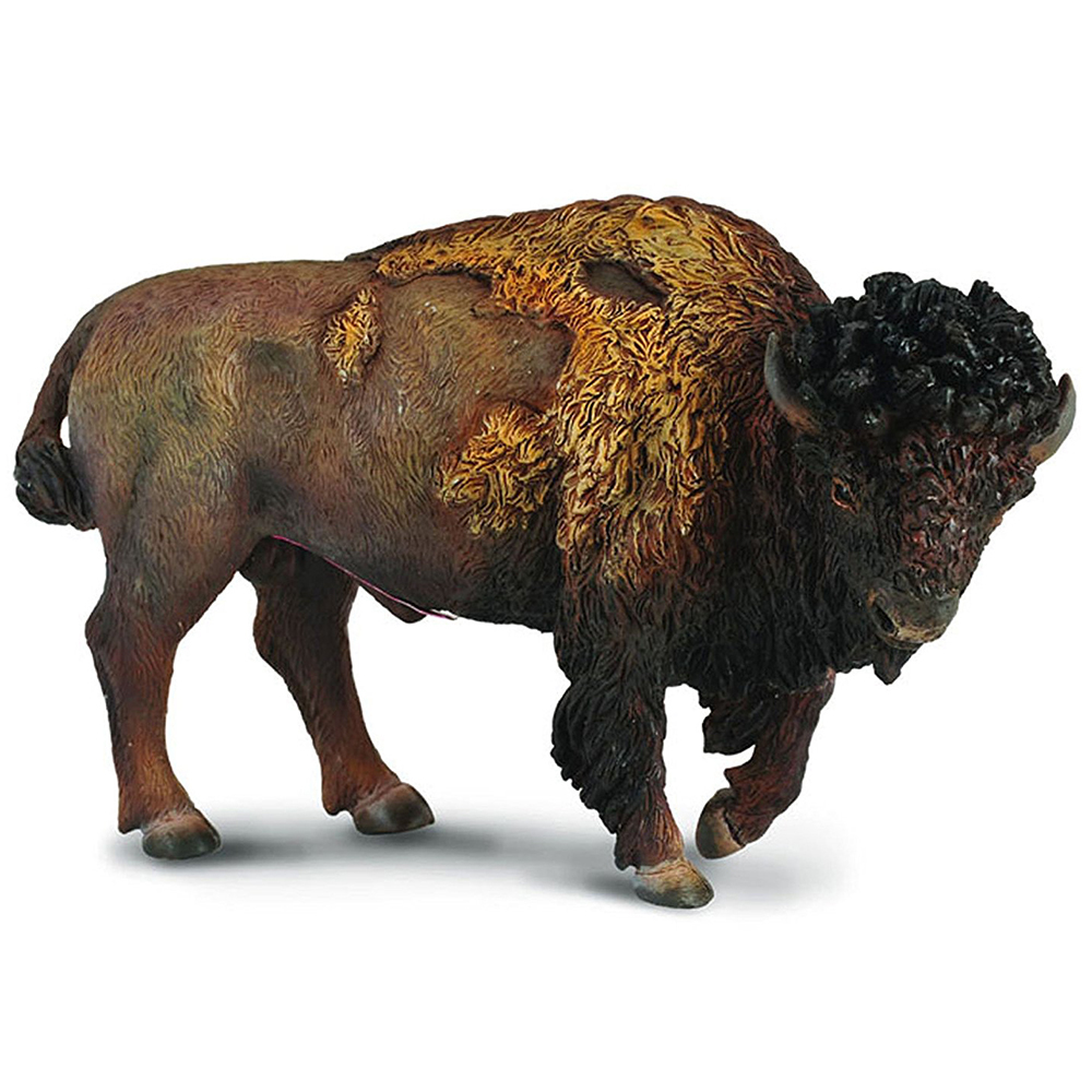 《 COLLECTA 》美洲野牛