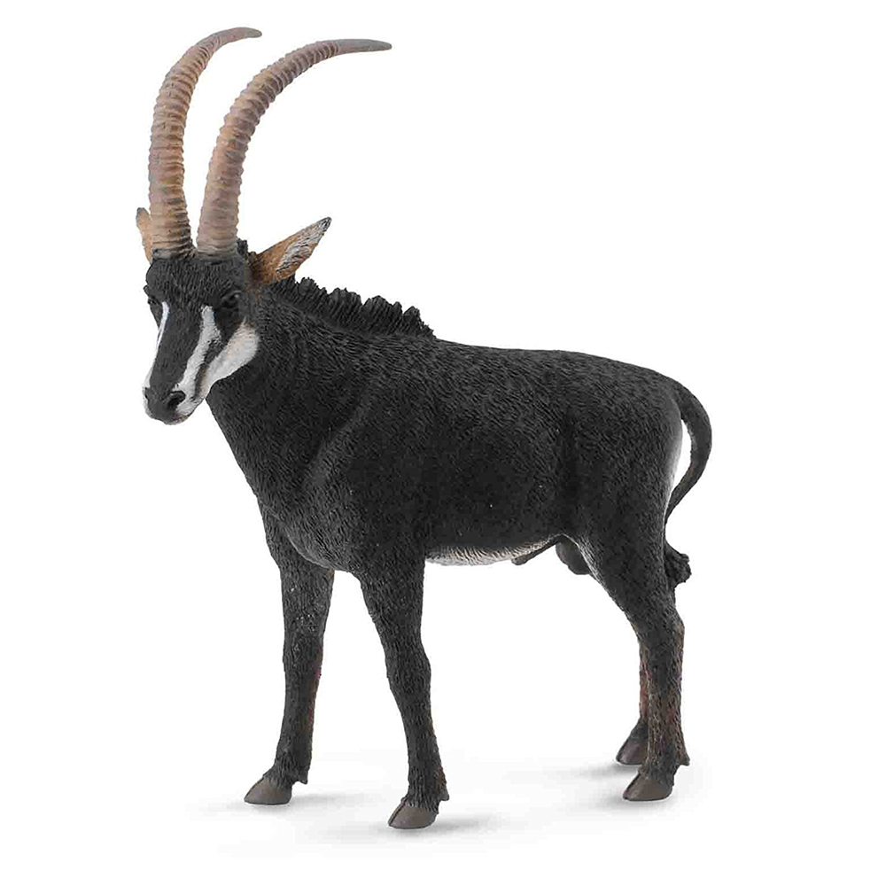 《 COLLECTA 》羅馬羚羊(雄)