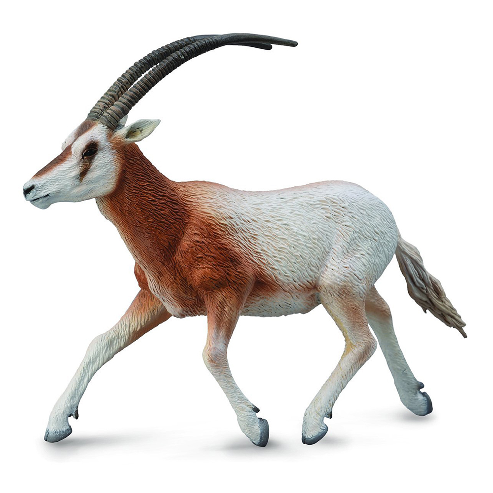 《 COLLECTA 》彎角劍羚