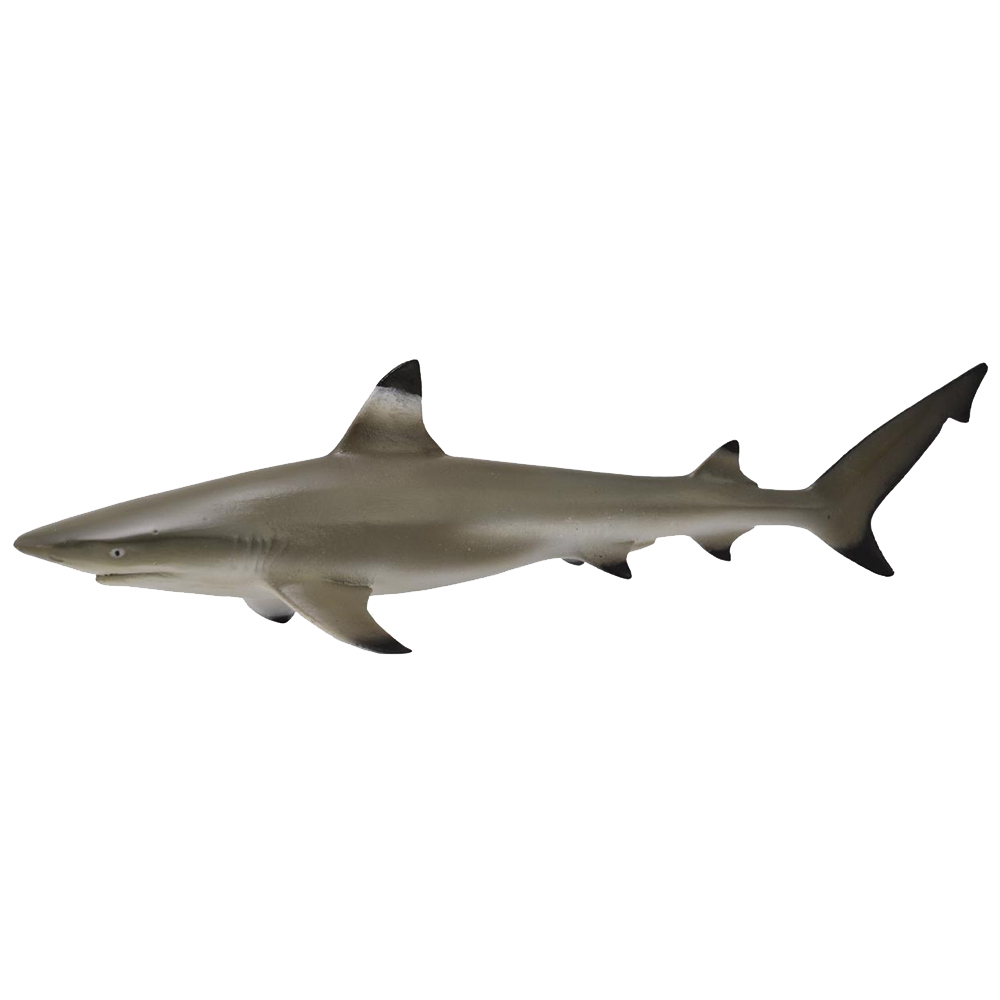 《 COLLECTA 》烏翅真鯊