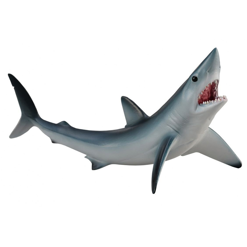 《 COLLECTA 》尖吻鯖鯊