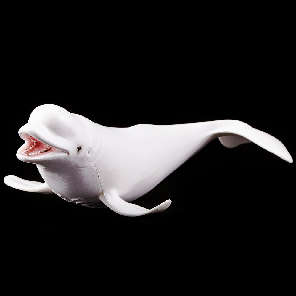 《 COLLECTA 》白鯨