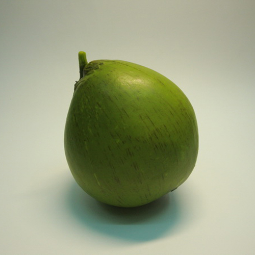 《 食物模型 》椰子  水果模型 B1063