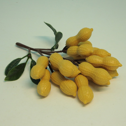 《 食物模型 》花生束(15粒)  蔬菜模型 - B2556