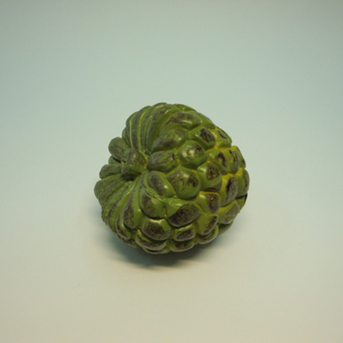 《 食物模型 》釋迦(大)  水果模型- B1055 